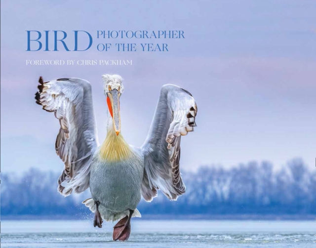 Bird Photographer of the Year : Collection 4, Hardback Book