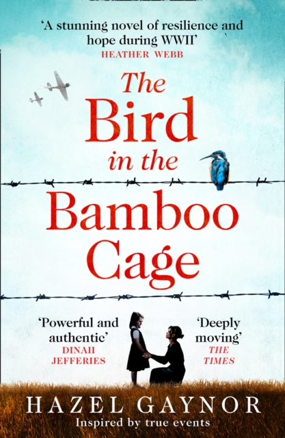 The Bird in the Bamboo Cage, Paperback / softback Book