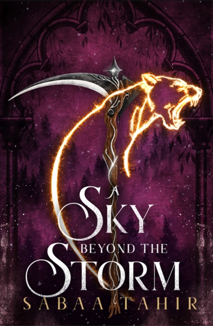 A Sky Beyond the Storm, Paperback / softback Book