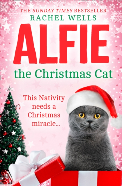 Alfie the Christmas Cat, Hardback Book
