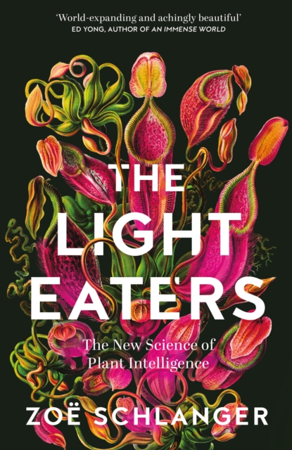 The Light Eaters, Hardback Book