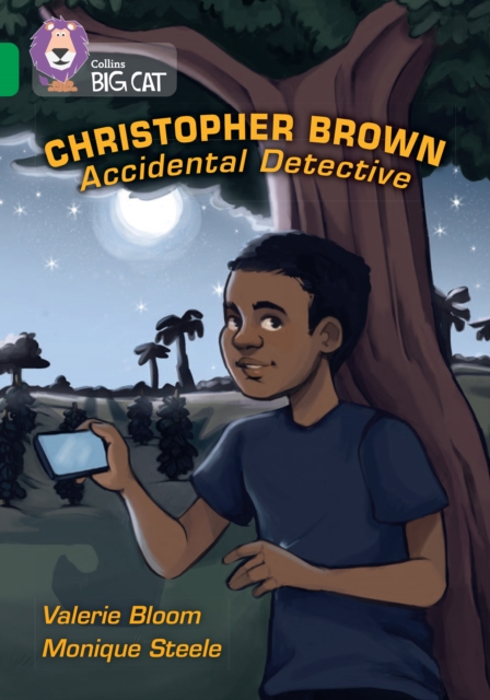 Christopher Brown: Accidental Detective : Band 15/Emerald, Paperback / softback Book