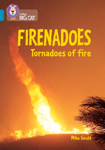 Firenadoes: Tornadoes of fire : Band 13/Topaz, Paperback / softback Book