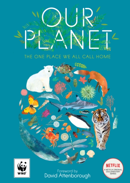 Our Planet : The One Place We All Call Home, Paperback / softback Book