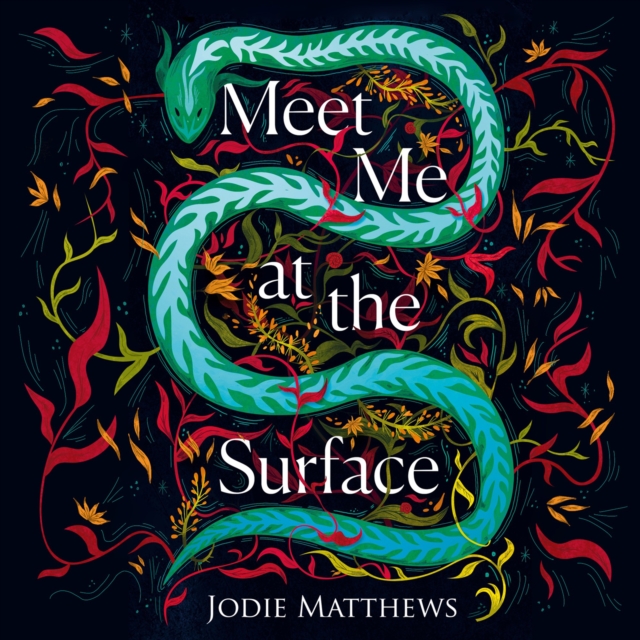 Meet Me at the Surface, eAudiobook MP3 eaudioBook