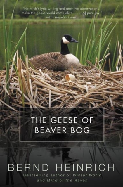 The Geese of Beaver Bog, EPUB eBook