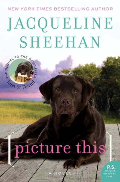 Picture This : A Novel, EPUB eBook