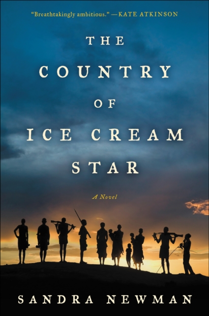The Country of Ice Cream Star, EPUB eBook