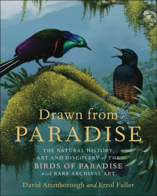 Drawn from Paradise : The Natural History, Art and Discovery of the Birds of Paradise with Rare Archival Art, EPUB eBook