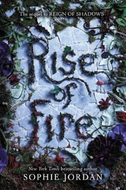 Rise of Fire, Paperback / softback Book