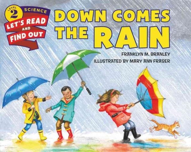 Down Comes the Rain, Paperback / softback Book