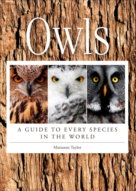 Owls : A Guide to Every Species in the World, EPUB eBook