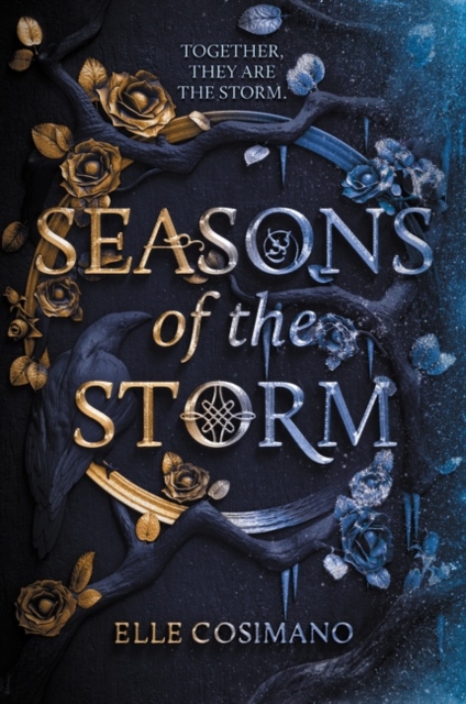 Seasons of the Storm, Paperback / softback Book