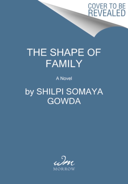 The Shape of Family : A Novel, Hardback Book