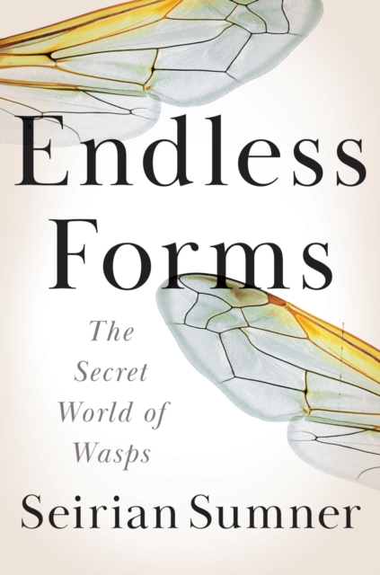 Endless Forms : The Secret World of Wasps, EPUB eBook