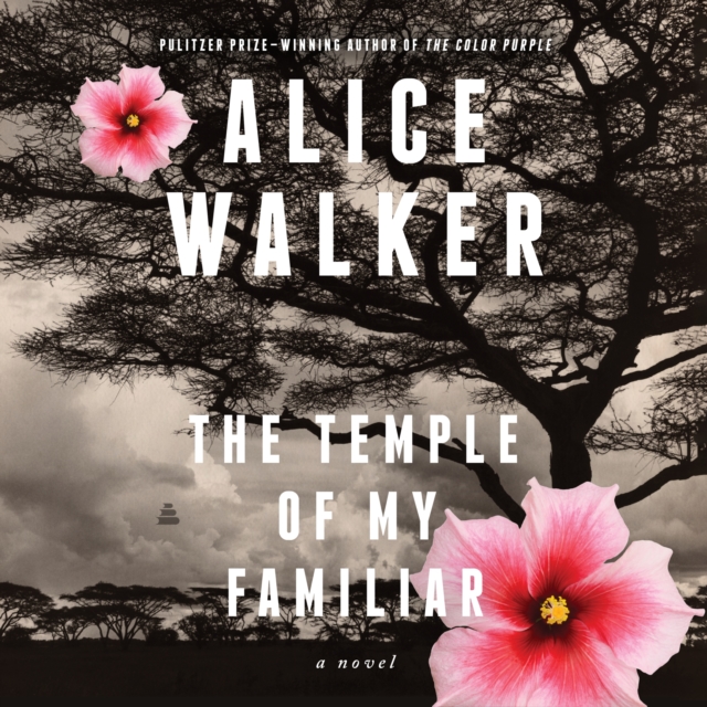 The Temple of My Familiar : A Novel, eAudiobook MP3 eaudioBook