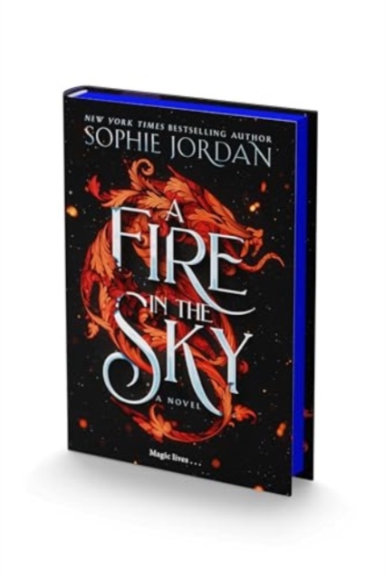 A Fire in the Sky : A Novel, Hardback Book