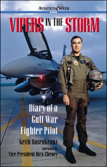 Vipers in the Storm: Diary of a Gulf War Fighter Pilot, Paperback / softback Book