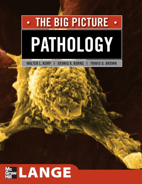 Pathology: The Big Picture, Paperback / softback Book