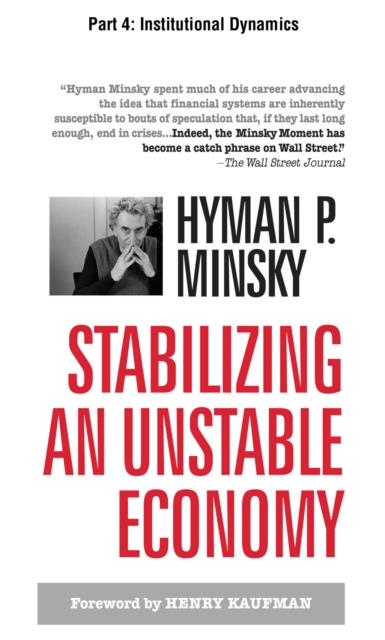 Stabilizing an Unstable Economy, Part 4 : Institutional Dynamics, EPUB eBook