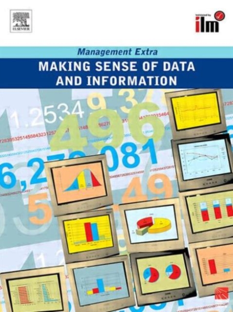 Making Sense of Data and Information, Paperback / softback Book