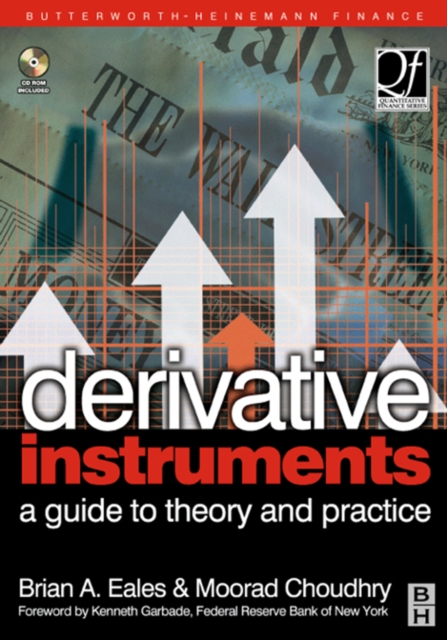 Derivative Instruments : A Guide to Theory and Practice, PDF eBook