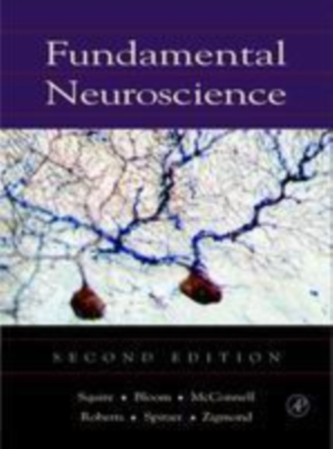 Fundamental Neuroscience, PDF eBook