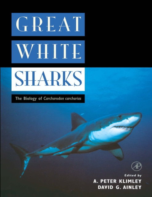 Great White Sharks : The Biology of Carcharodon carcharias, PDF eBook