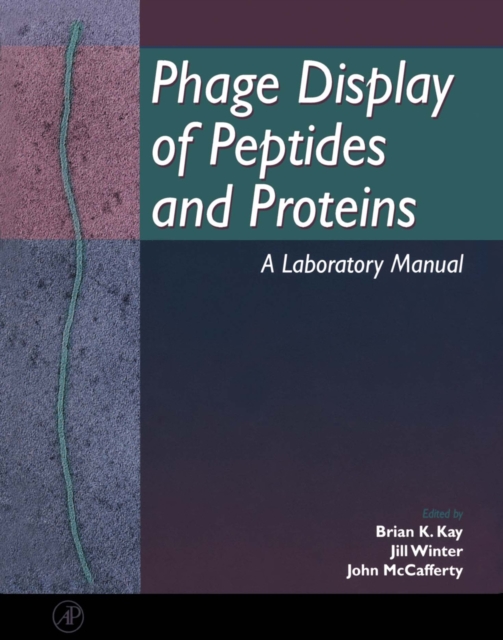 Phage Display of Peptides and Proteins : A Laboratory Manual, PDF eBook