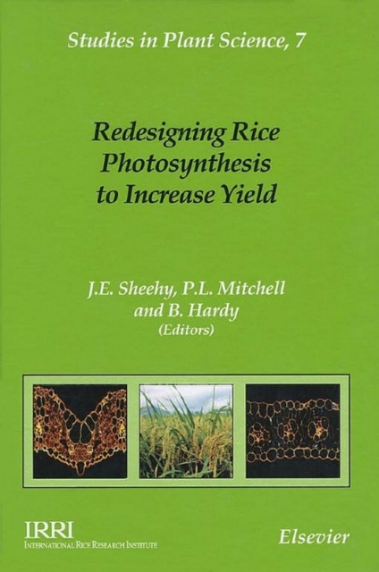 Redesigning Rice Photosynthesis to Increase Yield, PDF eBook