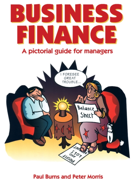 Business Finance : A Pictorial Guide for Managers, PDF eBook