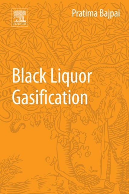 Black Liquor Gasification, EPUB eBook
