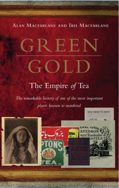 Green Gold : The Empire of Tea, Paperback / softback Book