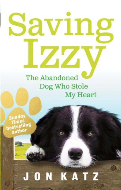 Saving Izzy : The Abandoned Dog Who Stole My Heart, Paperback / softback Book