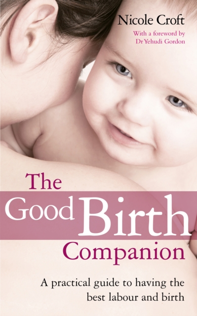 The Good Birth Companion : A Practical Guide to Having the Best Labour and Birth, Paperback / softback Book