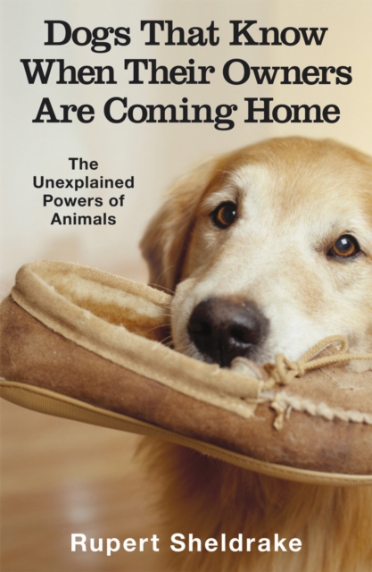 Dogs That Know When Their Owners Are Coming Home : And Other Unexplained Powers of Animals, Paperback / softback Book