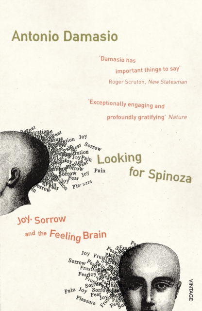 Looking For Spinoza : Joy, Sorrow and the Feeling Brain, Paperback / softback Book