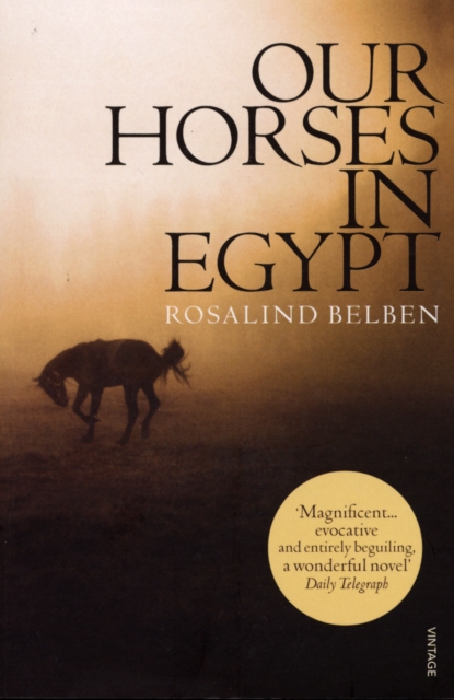 Our Horses In Egypt, Paperback / softback Book