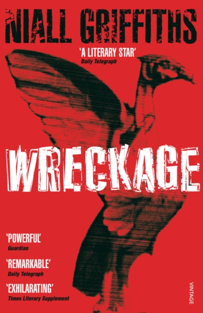 Wreckage, Paperback / softback Book