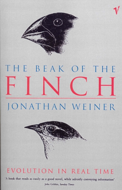 The Beak Of The Finch, Paperback / softback Book
