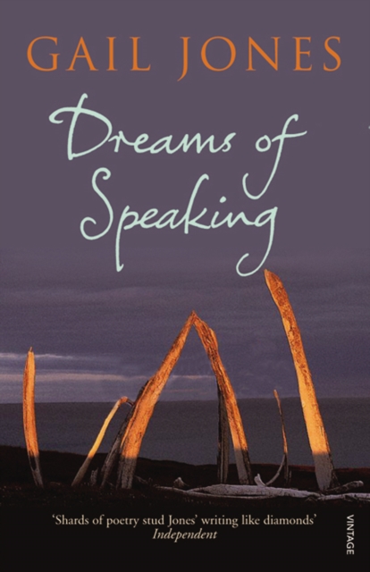 Dreams of Speaking, Paperback / softback Book