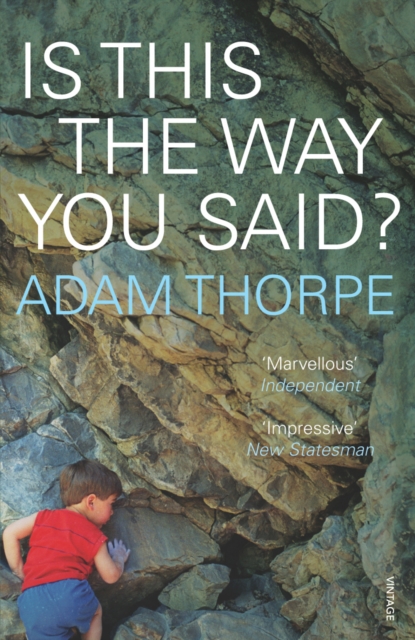 Is This The Way You Said?, Paperback / softback Book