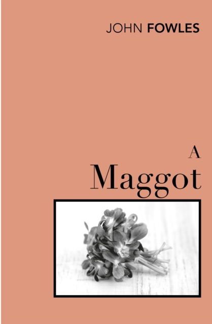 A Maggot, Paperback / softback Book