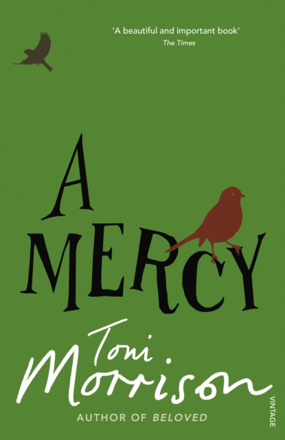 A Mercy, Paperback / softback Book