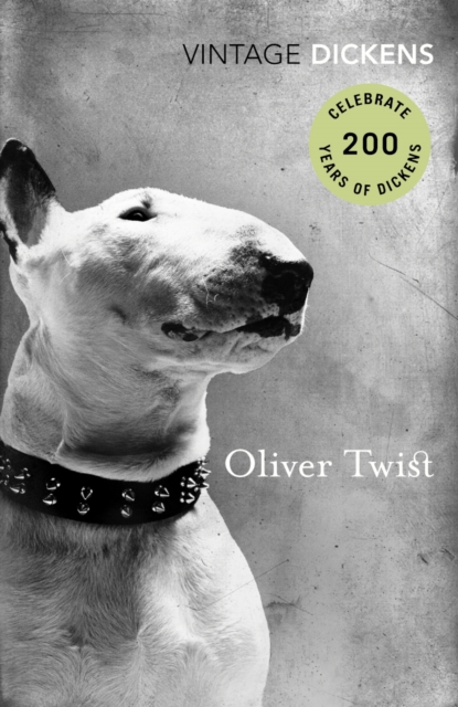 Oliver Twist, Paperback / softback Book