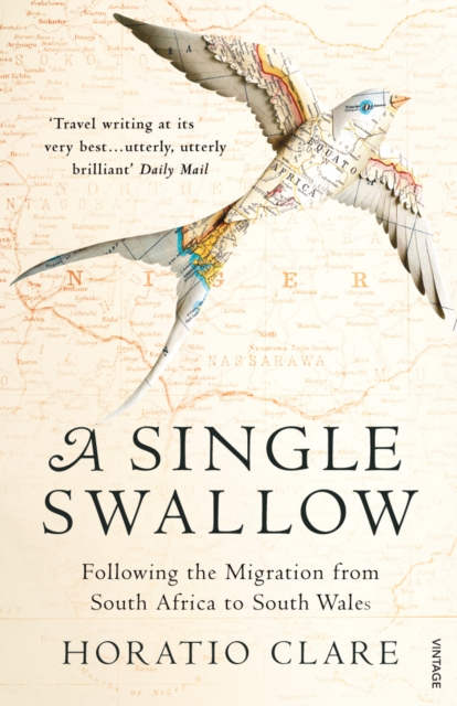 A Single Swallow : Following An Epic Journey From South Africa To South Wales, Paperback / softback Book
