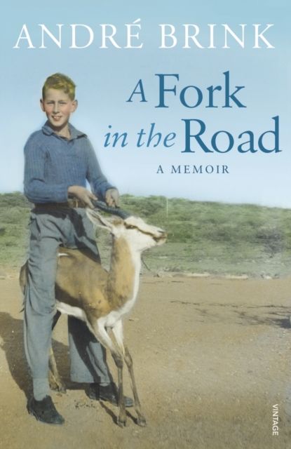 A Fork in the Road, Paperback / softback Book