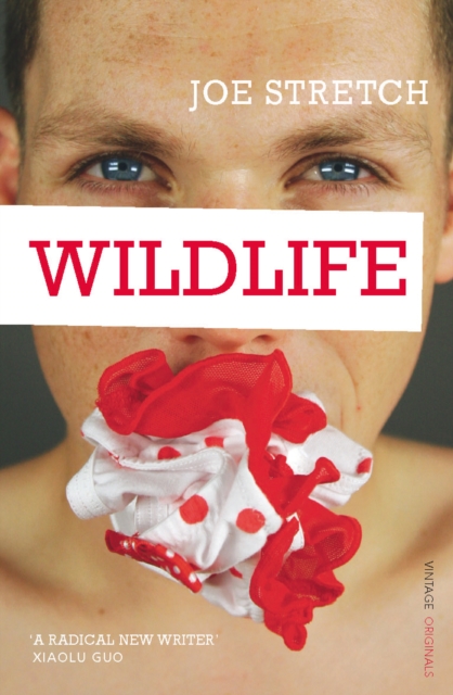 Wildlife, Paperback / softback Book