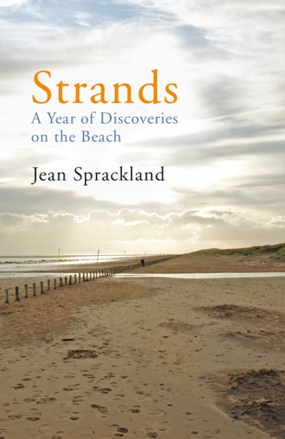 Strands : A Year of Discoveries on the Beach, Paperback / softback Book