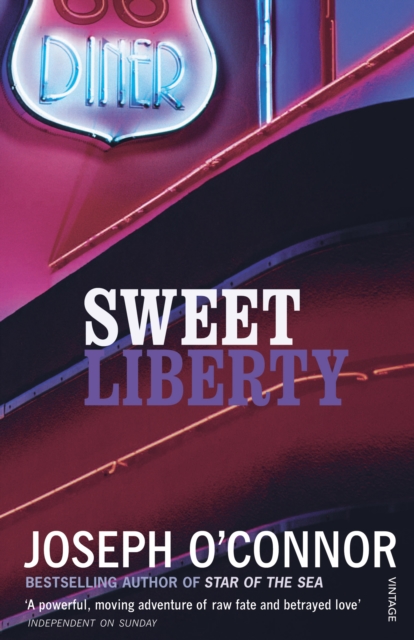 Sweet Liberty : Travels in Irish America, Paperback / softback Book